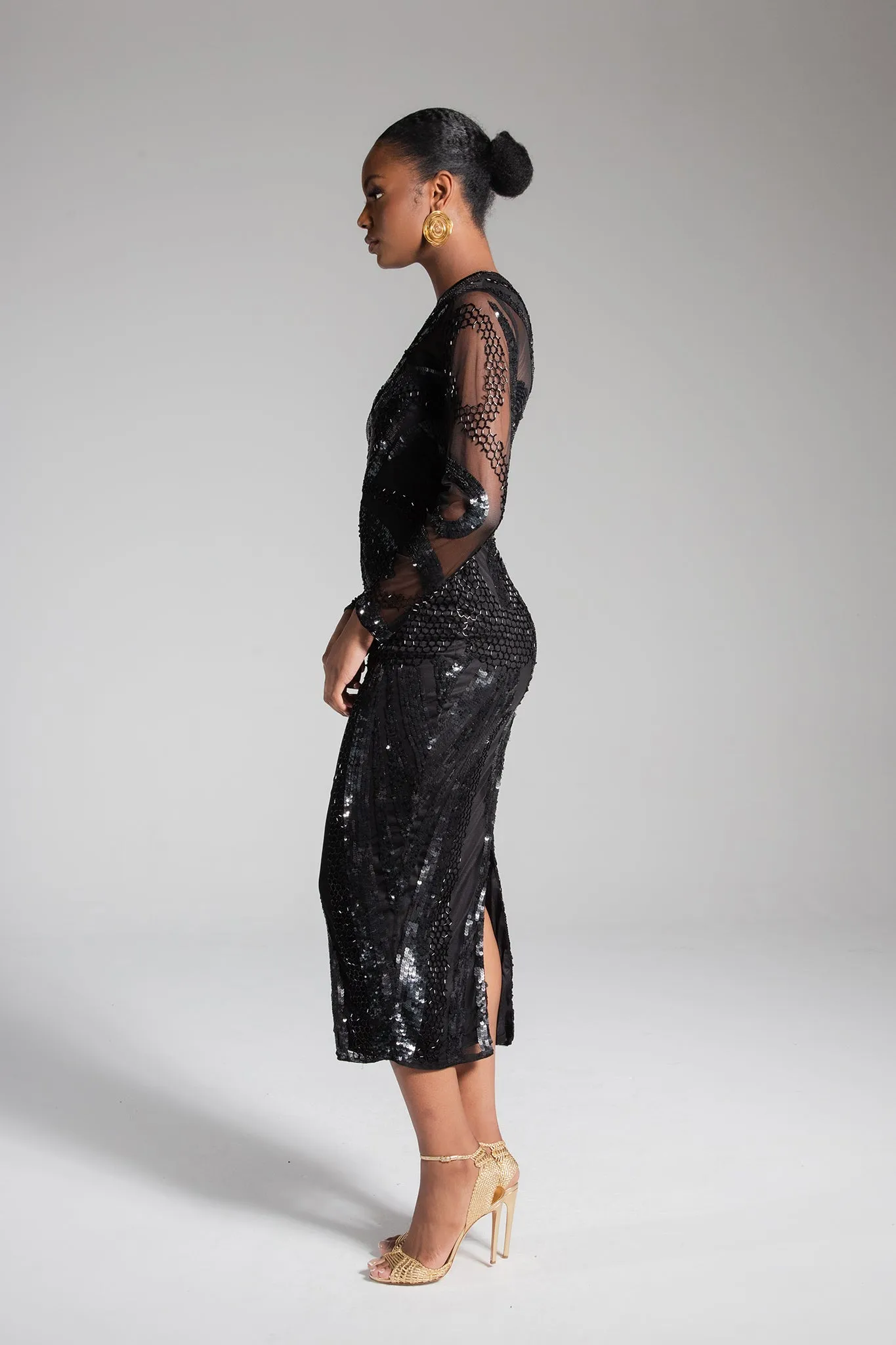 Anaya Embellished Dress