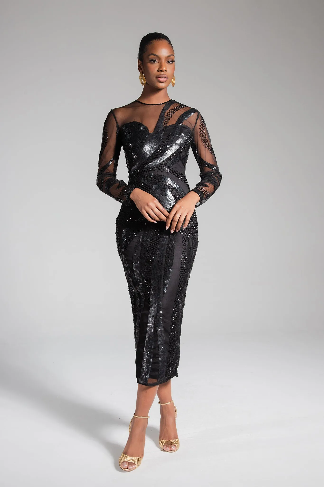 Anaya Embellished Dress