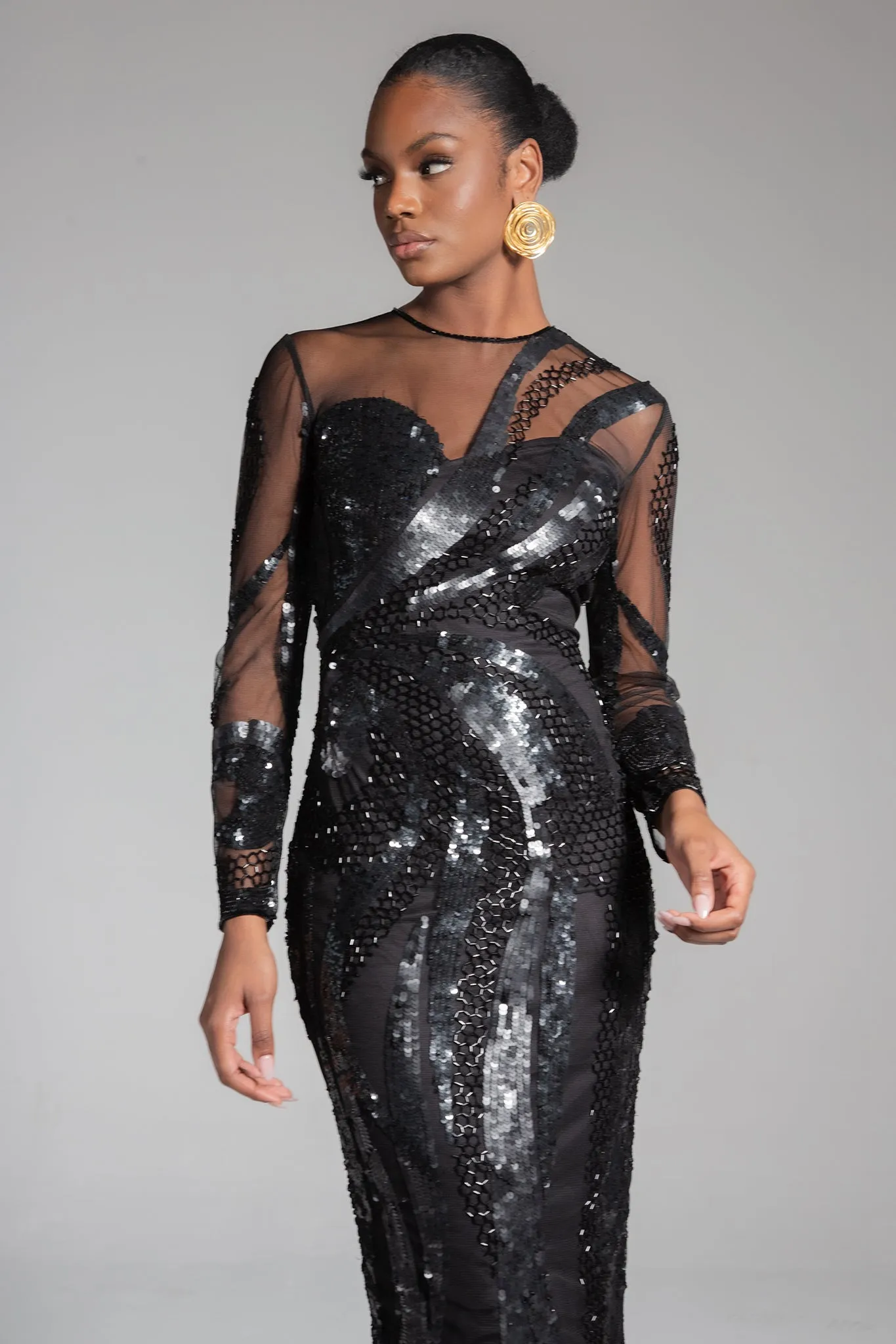Anaya Embellished Dress