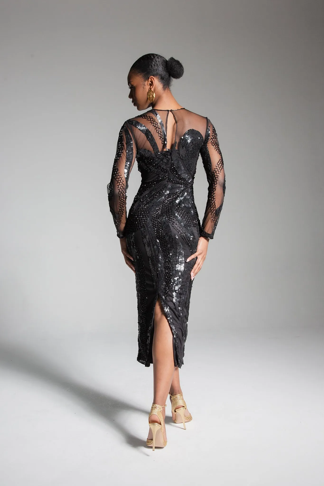 Anaya Embellished Dress