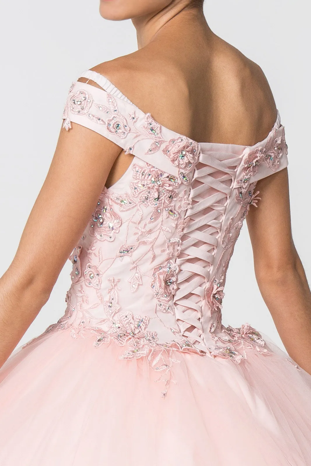 Floral Embroidery and Jewel Embellished V-Neck Mesh Ball Gown GLGL2802