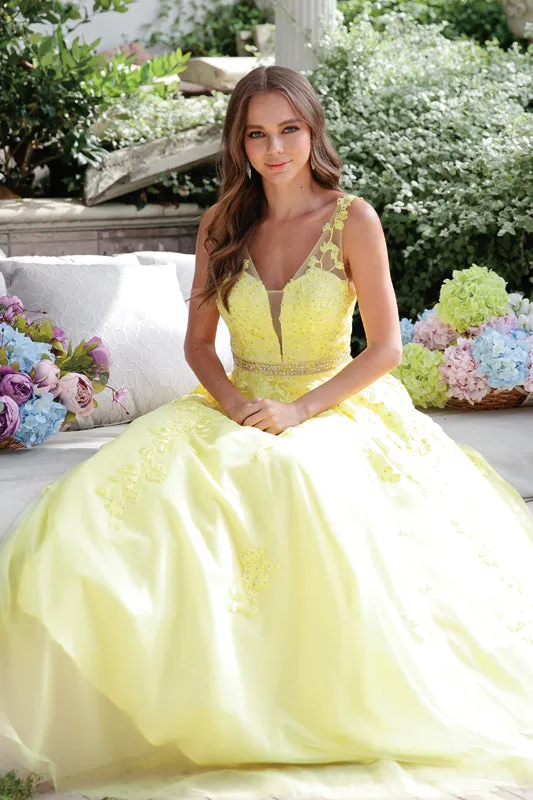 JULIET 224 Floral Appliques Ball Gown