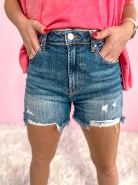 Kylee High Rise Distressed Shorts