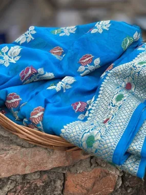 Pure Banarasi chiffon georgette Handloom Saree With Blouse Piece (J10)