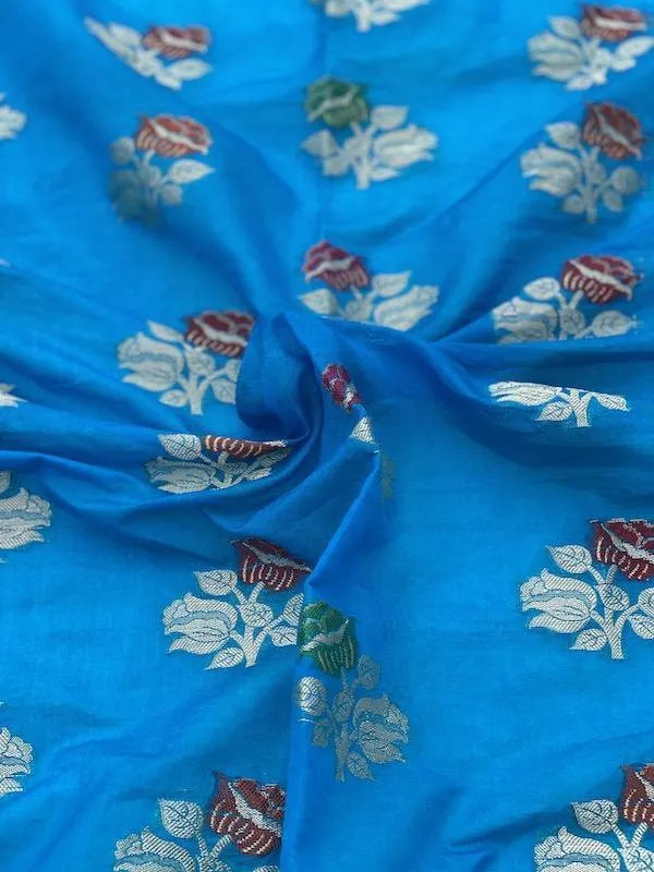 Pure Banarasi chiffon georgette Handloom Saree With Blouse Piece (J10)