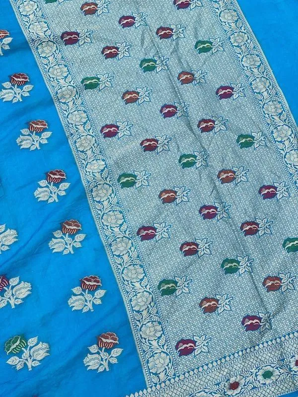 Pure Banarasi chiffon georgette Handloom Saree With Blouse Piece (J10)