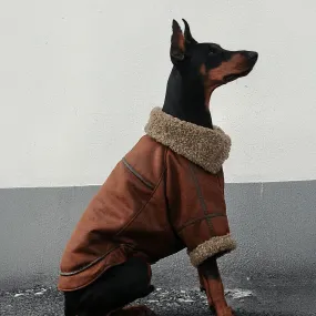 Vintage Aviator Dog Jacket with Shearling Lining - Warm and Stylish